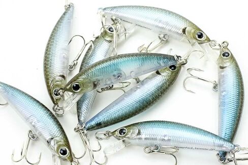 LUCKY CRAFT FIshing Lure Humpback Minnow 50 SP Trout Lure in Saudi Arabia