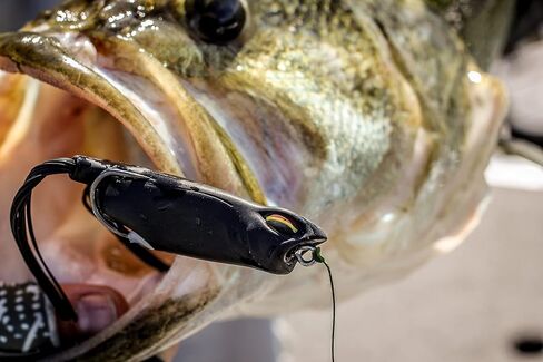 6th Sense Fishing Vega Frog - Topwater Lure - Bass Lure - Walking Motion - Realistic Color Schemes in Saudi Arabia
