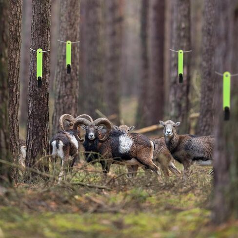 30PCS Reflective Trail Markers with Clips,Night-n-Day Trail Marking Tacks,Tree Trail Markers for Hiking or Tree-Stand Hunting Outdoor in Kuwait