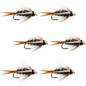 The Fly Fishing Place Tungsten Bead Head Prince Nymph Fly Fishing Flies - Set of 6 Flies Hook Size 18