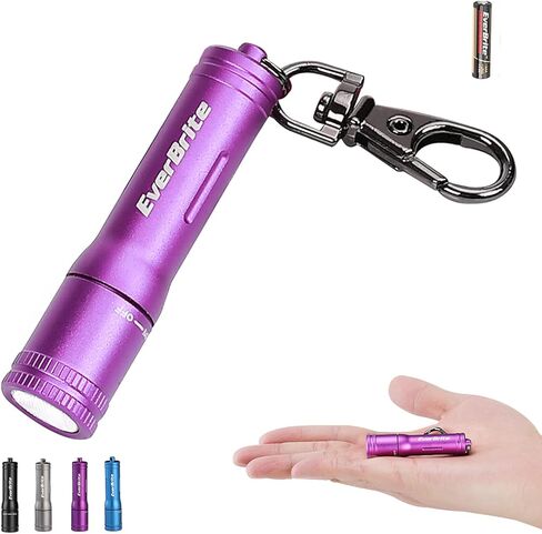 EverBrite Keychain LED Flashlight Mini Bright Key Ring Portable Pocket Torch for EDC, Party Favors, Night Reading, Camping, Power Outage, Emergency, AAA Battery Included, Blue in Kuwait