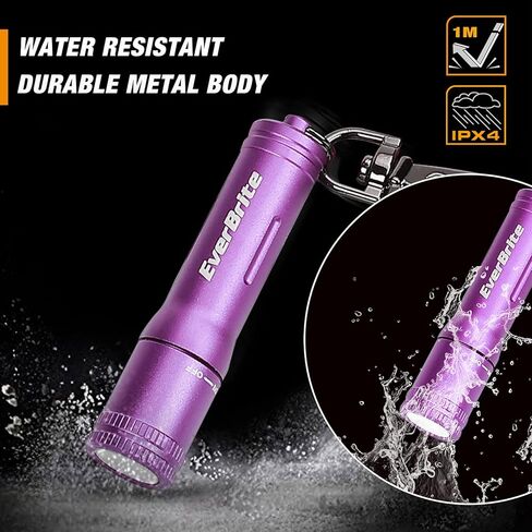 EverBrite Keychain LED Flashlight Mini Bright Key Ring Portable Pocket Torch for EDC, Party Favors, Night Reading, Camping, Power Outage, Emergency, AAA Battery Included, Blue in Kuwait