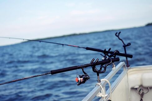 Shakespeare® Crappie Hunter® مجموعة قضيب وبكرة دوارة مقاس 12 بوصة، حجم 25 بكرة ^ 2 أنبوبي من الألياف الزجاجية الفارغة، 10 أدلة من الفولاذ المقاوم للصدأ in Saudi Arabia