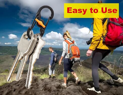 2 Pack MicroLock Stainless Steel with Locking Dual Sided Gates Keep Keys Secure with Carabiner Key Holder Black in Kuwait