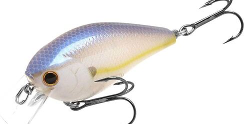 LUCKY CRAFT LC 1.5DRS ~Deep Rattle Sound~ in Saudi Arabia