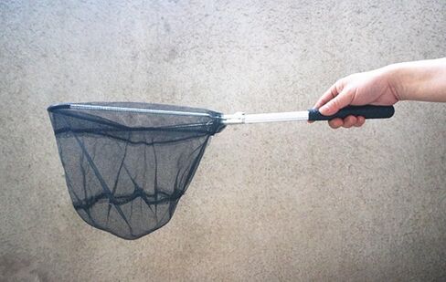 شبكة هبوط صغيرة قابلة للطي لصيد سمك السلمون المرقط وصيد السمك وإطلاق شبكة اليد من النايلون in Kuwait