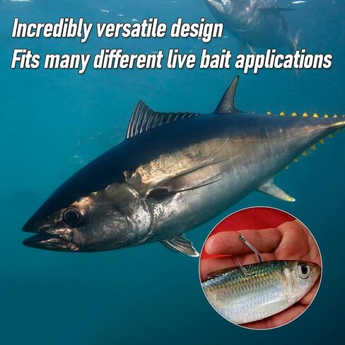 Dr.Fish 30 Pack Live Bait Hook Saltwater Fishing Hook in-line Hooks Tuna Surf Fishing Circle Hooks Striper Catfish Halibut Mackerel #1-12/0 in Kuwait