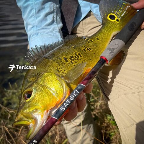 Tenkara USA Fly Fishing (Complete Set: SATOKI™ Rod + Starter Kit) | Carbon Fiber, Lightweight, Telescopic in Saudi Arabia