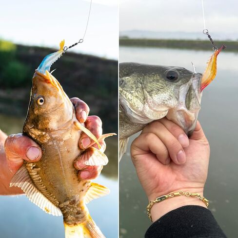 Shrimp Lures, Soft Shrimp Fishing Lures for Freshwater Saltwater, Luminous Shrimp Bait with Sharp Hook and Swivel for Trout Bass Salmon Walleye, 5 Colors Saltwater Lures Fishing Tackle in Saudi Arabia