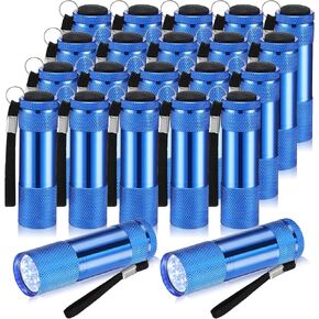 VIHOSE 20 Pcs Mini Flashlights Bulk, Bright Aluminum Handheld Flash Light with Lanyard Small LED Flashlights for Kids Night Reading Emergency Hurricane Camping Hiking, Batteries Not Included(Bright)