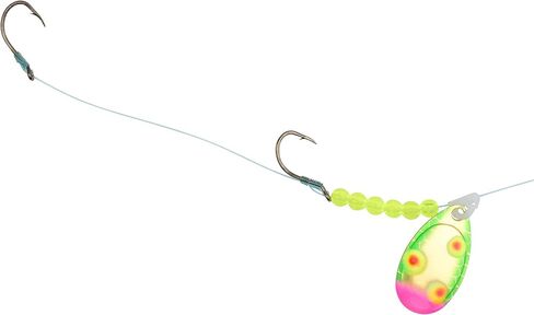 Walleye Elite in Saudi Arabia