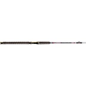 BnM Silver Cat Magnum 10 ft Spinning Rod