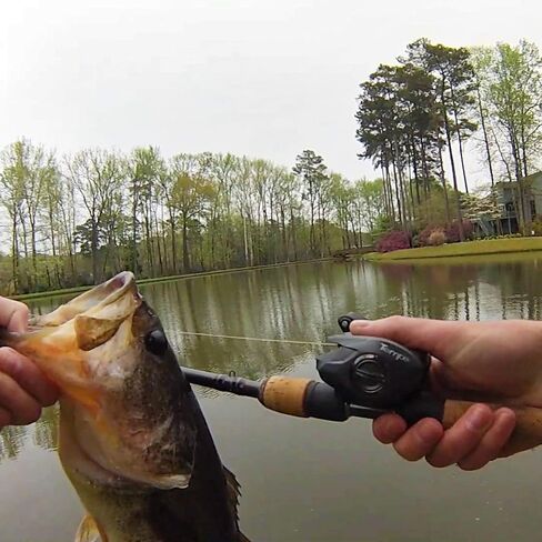 Tempo Vertix LP, High-Tech Innovative Baitcasting Reel, 9 + 1 BB, Low Profile & Lightweight, Powerful & Durable, 6.6:1 Gear Ratio, Great Value in Saudi Arabia