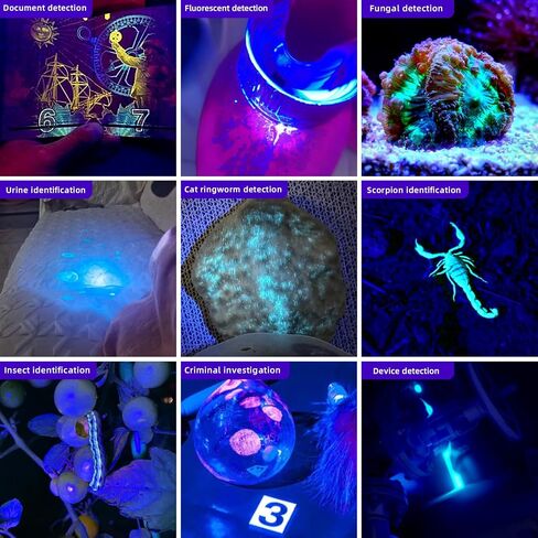 LIGHTFE Black light UV Light Keychain Flashlight with High Power UV 395nm LED Source High Power and Strong Beam for Pet Urine Detector Light, UV Glue Curing,Professional Art Repairing… in Saudi Arabia