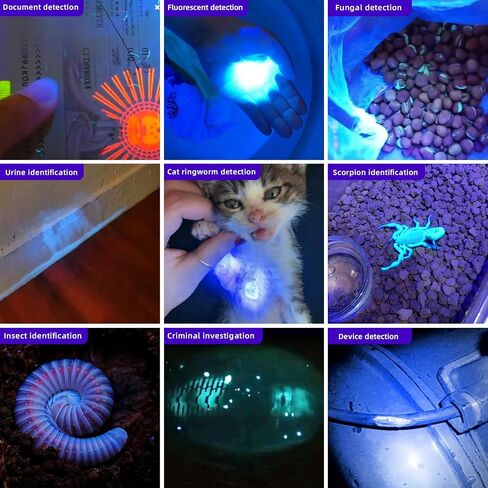 LIGHTFE Black light UV Light Keychain Flashlight with High Power UV 395nm LED Source High Power and Strong Beam for Pet Urine Detector Light, UV Glue Curing,Professional Art Repairing… in Saudi Arabia