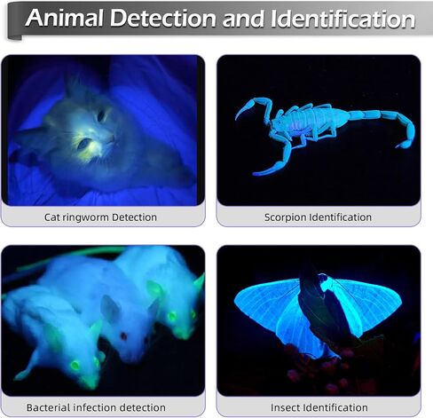 LIGHTFE Black light UV Light Keychain Flashlight with High Power UV 395nm LED Source High Power and Strong Beam for Pet Urine Detector Light, UV Glue Curing,Professional Art Repairing… in Saudi Arabia