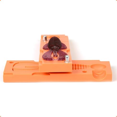 Soft Plastiс Mold Lure Making Injection Molds Fishing Lures Strk Rage Bug 4'' in Saudi Arabia