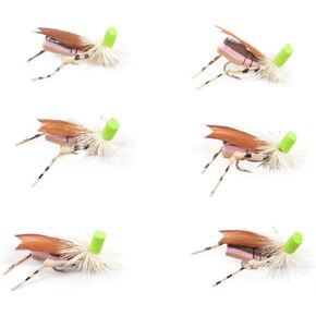 The Fly Fishing Place Green Top Hopper Trout Bass and Panfish Fly Fishing Flies - High Visibility Foam Body Grasshopper Indicator Dry Fly - 6 Flies Hook Size 10