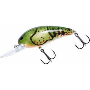 بومبر موديل A (روك كرو) in Kuwait