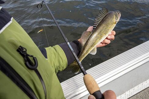 قضيب دوار من سلسلة سانت كروا رودز، لؤلؤ الكربون، 6'3" - قدم in Kuwait