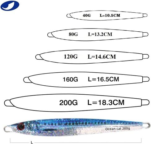 OCEAN CAT 1 PC Lead Metal Flat Slow Fall Pitch Fishing Jigs Lures Sinking Vertical Jigging Bait with Butterfly Hook for Saltwater Fishing Size 40g 80g 120g 160g 200g in Kuwait