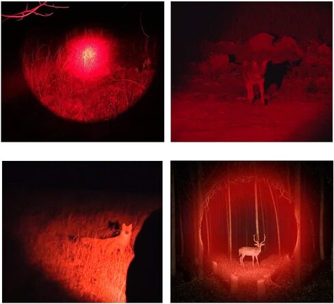 Red Light Flashlight 3 Mode Tactical Zoomable LED Red Torch for Night Vision Fishing Hunting Astronomy Astrophotography in Saudi Arabia
