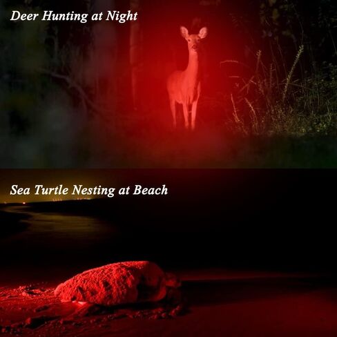 Red Light Flashlight 3 Mode Tactical Zoomable LED Red Torch for Night Vision Fishing Hunting Astronomy Astrophotography in Saudi Arabia