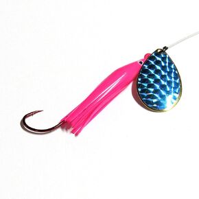 Pink-Blue King Killer