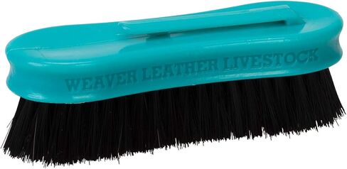 Tampico Pig Brush with Handle, Teal in Saudi Arabia