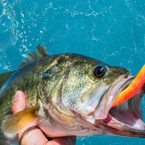 10 عبوات من طُعم الصيد الناعم، 55 مم 70 مم 100 مم Wobblers Bass Mandarin Fish Fishing Luggage Soft Luggers طعوم صناعية مزدوجة اللون من السيليكون in Saudi Arabia