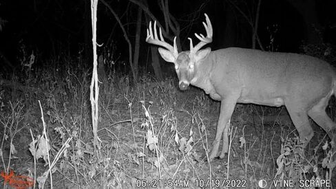 Wildgame Innovations 22MP Terra Xtreme 2PK مع بطاريات وSD in Kuwait