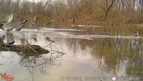 Wildgame Innovations 22MP Terra Xtreme 2PK مع بطاريات وSD in Kuwait