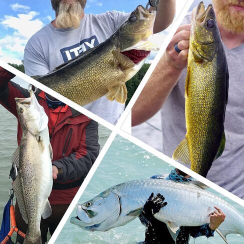 20PCS Fishing Leader Wire,150LB High Strenght Fishing Stainless Steel Wire Leader with Swivel Snaps Connect Tackle Lure Rig and Hooks 19.7inch in Saudi Arabia