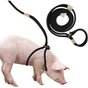 Mini Pig Harness & Leash, Adjustable 8 Feet Long Rope for Small to Medium Pet Pigs