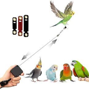 Bird Leash,Bird Harness,Retractable Anti-Bite Parrot Harness,with 3 Different Sizes of Soft Foot Ring,for Birds Outdoor Flight Training,for Budgies,Cockatiels,Psittacula Longicauda,Mini Macaws,6.5Ft