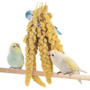 BUCATSTATE Millet Spray for Birds 1LB, Sun-Dried Healthy Millet Parakeet Treats for Parrots Cockatiel Lovebird Finch, GMO-Free Parakeet Food