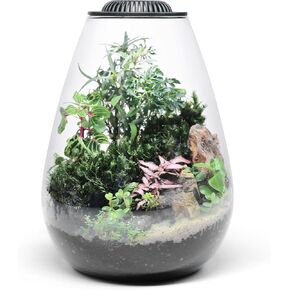 Bio Cylinder - طقم Terrarium للنباتات الزجاجية - حوض زجاجي مع ضوء LED للنمو، غطاء تهوية قابل للتعديل، ركيزة، طحالب وصخور مميزة - Bio Bowl 175