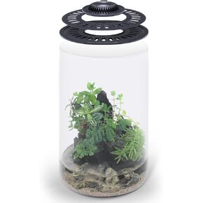 Bio Cylinder - Glass Plant Terrarium Kit - Glass Terrarium w/LED Grow Light, Adjustable Ventilation Lid, Substrate, Moss & Accent Rocks - Bio Bowl 175