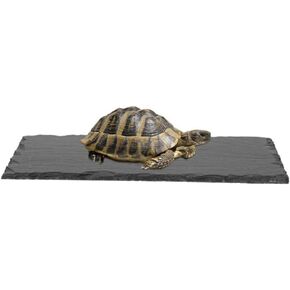 Turtle Basking Platform Rocks Slate Rock for Reptiles Tortoise Food Dish Landscape Habitat Decor Accessories, Basking Rock for Crested Gecko Lizard Bearded Dragon Turtle, Gray