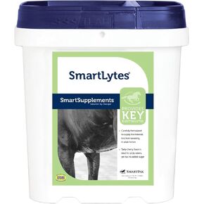 SmartPak SmartLytes Horse Electrolyte Powder Supplement | Encourages Hydration, Replenishes Electrolytes, No Added Sugar, Cherry Flavor, 56 Servings, 3.5 lb Bucket