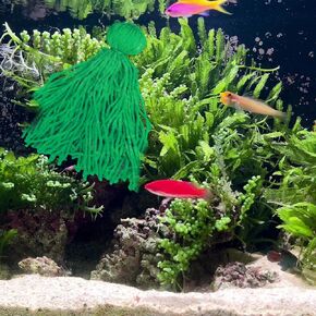 Fish Breeder Spawning Mop for Fish Tank, Floating Fish Breeding Mop for Egg Laying, Green (Green)