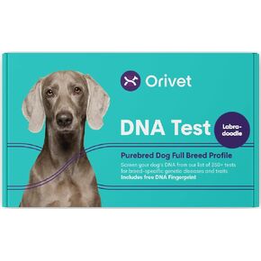 طقم اختبار الحمض النووي للكلاب من ORIVET - الملف الشخصي الكامل لسلالة Labradoodle | اختبار الجرو ضد 250 من المخاطر والسمات الصحية الطبية | البصمة الوراثية وخطة العافية | في المنزل مسحة الخد | سريع