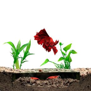 Shrimp Breeding Protector | Shrimp Breeding Cave Aquarium Tunnel | CTWPets (Black)