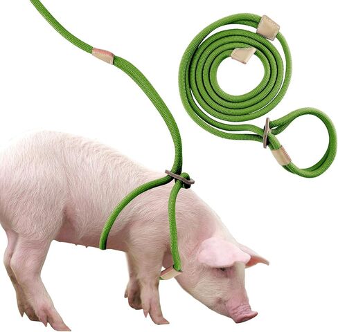 Mini Pig Harness & Leash, Adjustable 8 Feet Long Rope for Small to Medium Pet Pigs in Saudi Arabia