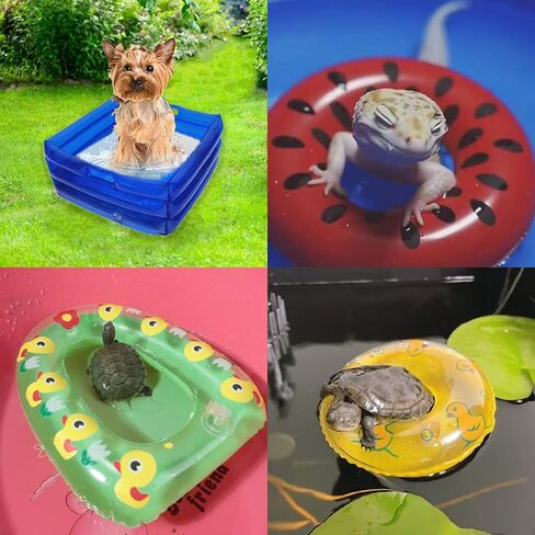 7 Pcs Foldable Bearded Dragons Pool Bath Collar Ring & Boat Set Swimming Bath Water Washer for Small Animal Hedgehog Hamster with Pump in Saudi Arabia