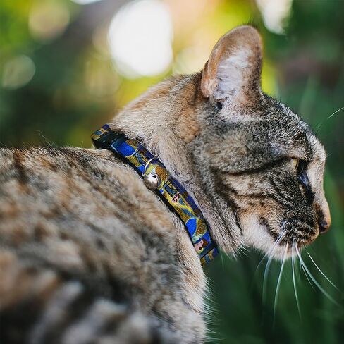 Buckle-Down Breakaway Cat Collar - Beast & Belle Ball Scene Poses - 1/2" Wide - Fits 8-12" Neck - Medium in Saudi Arabia