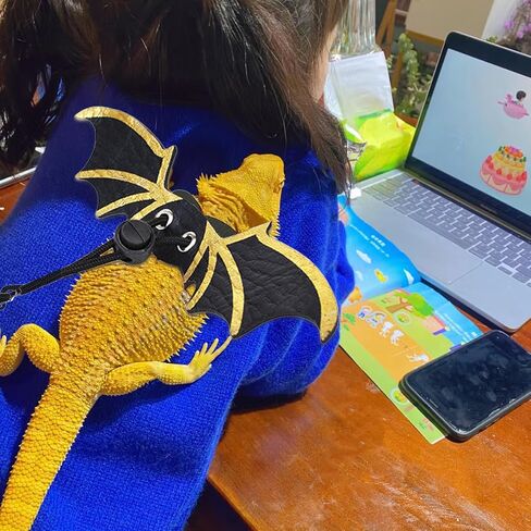 Bearded Dragon Carrier Set, Reptile Carrier Kit Includes Bearded Dragon Leash and Carrier, Shark Costume, Bearded Dragon Harness Vest with Costume for Small Pets Travel in Saudi Arabia