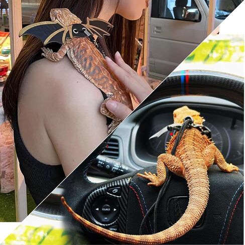 Bearded Dragon Carrier Set, Reptile Carrier Kit Includes Bearded Dragon Leash and Carrier, Shark Costume, Bearded Dragon Harness Vest with Costume for Small Pets Travel in Saudi Arabia