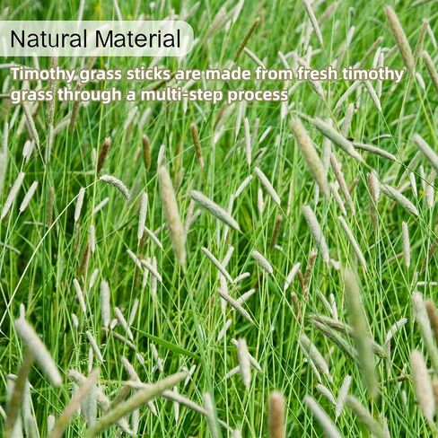 50-60 PCS Natural Rabbit Chew Toys, Rabbit Treats, Guinea Pig Chew Toys, Bunny Toys, Hamster Treats, Timothy Stick, Apple Sticks, Sweet Bamboo, for Guinea Pig, Hamster, Chinchilla, Rat, Small Animals in Saudi Arabia