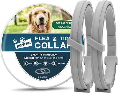 Dog Flea Tick Collar, Flea & Tick Prevention for Dogs, 8 Months Protection Dog Flea Collar, Adjustable Collar Fits Large Dogs & Puppies, Flea Treatment Collar for Dogs 2 Pack in Saudi Arabia